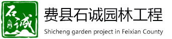 费县91视频污下载园林工程有限公司