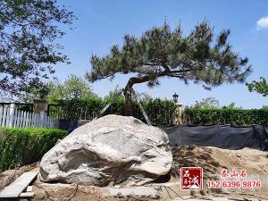 大型独景泰山石